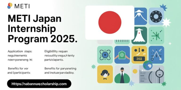 METI Japan Internship Program 2025